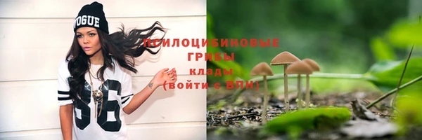 трава Нея
