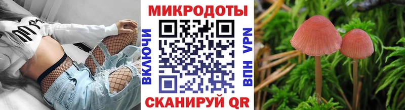 ссылка на мегу ссылки  Искитим  Псилоцибиновые грибы ЛСД  где купить наркоту 