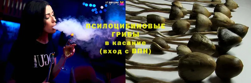 Галлюциногенные грибы MAGIC MUSHROOMS  OMG ONION  Искитим 