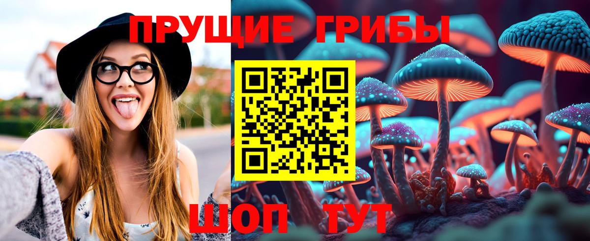 где можно купить наркотик  Псилоцибиновые грибы GOLDEN TEACHER  Вход с VPN  Искитим 